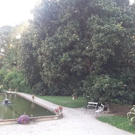 Negri 住宿加早餐酒店 维琴察