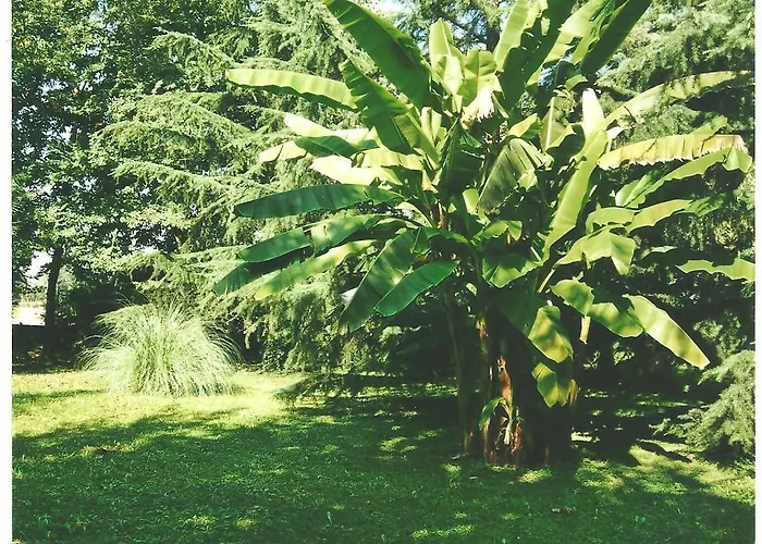 Negri Bed & Breakfast Vicenza