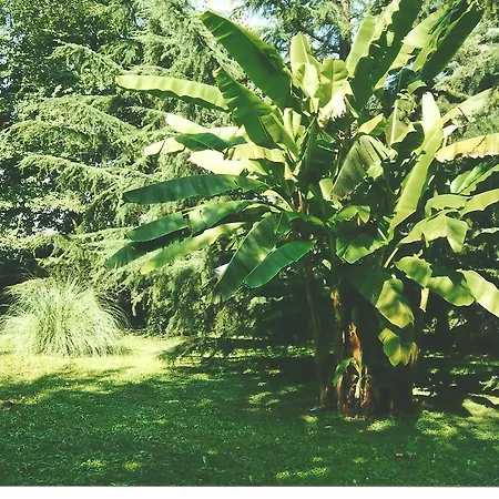 Negri ベッド・アンド・ブレックファスト ヴィチェンツァ