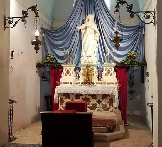 Negri * فيتشنزا